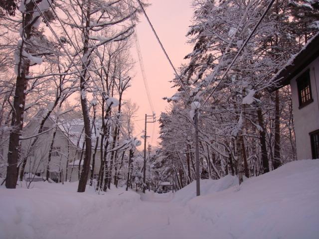 Pension Belnina Hakuba Esterno foto